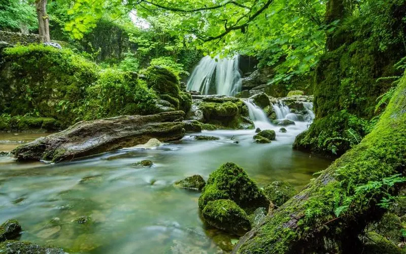 高效独特